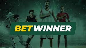 BetWinner Bookmaker Your Gateway to Exciting Online Betting